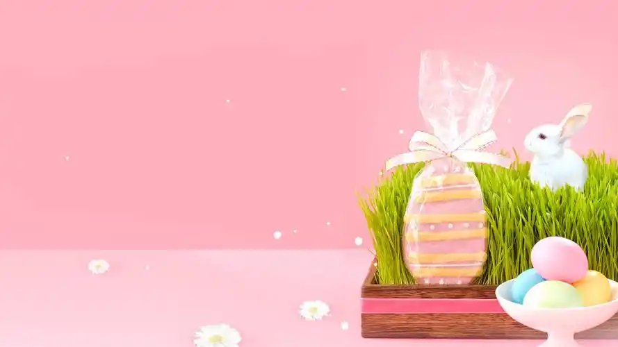 【1600x900】小白兔桌面图片背景 - 彼岸手机壁纸下载