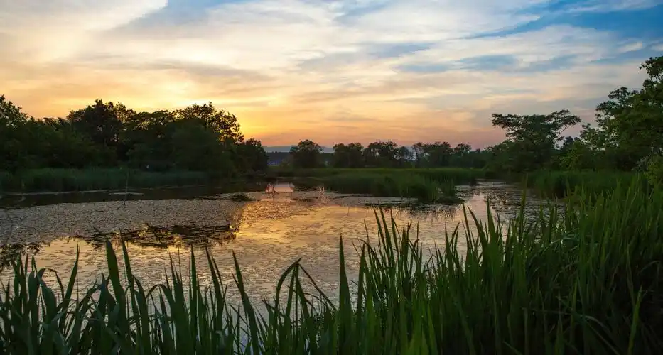 宿迁构建三群四链打造新时代鱼米之乡