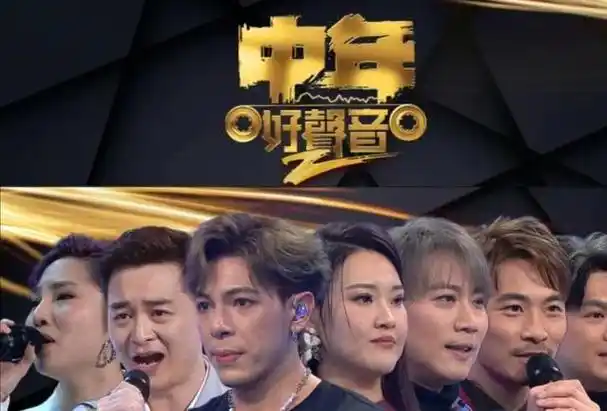 香港资深音乐人杨千嬅只是歌手没资格任中年好声音2评审