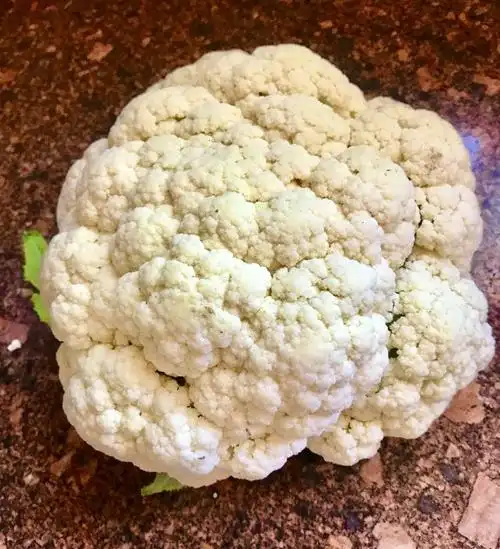 菜花是什么菜?菜花是什么菜长出来的_生活常识_中睿百科网