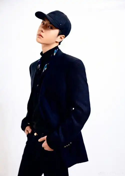 贺峻霖)王源 邓为 王鹤棣 朱一龙  白敬亭 吴磊 井柏然 檀健次 华晨宇