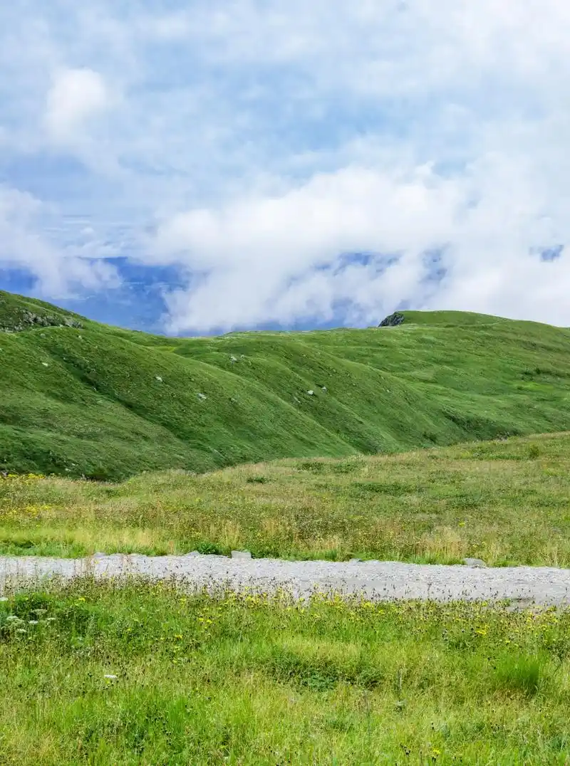 高山草甸.#长白山 #高山草甸 #感受大自然的气息和美景 - 抖音