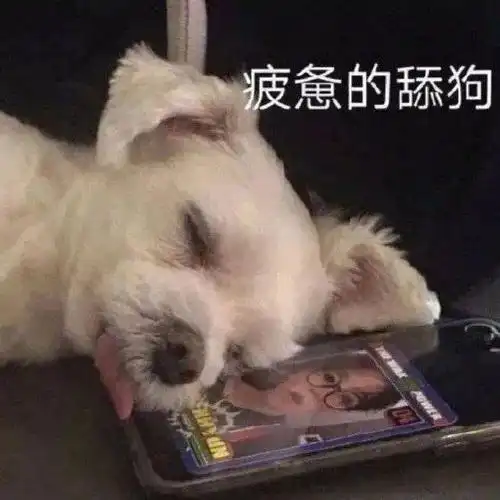 沙雕表情包,图片极度舒适!