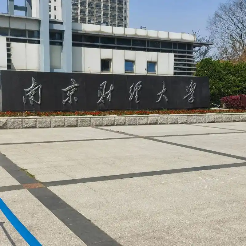 高校第七站——南京财经大学#南京财经大学 #怎样都出色 #心 - 抖音