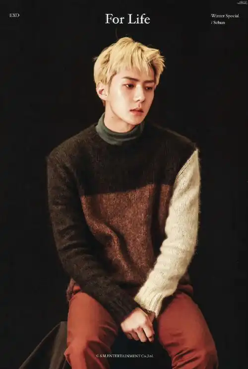 吴世勋##吴世勋成为福布斯公认韩国门面