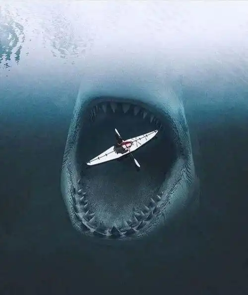 精心收集恐怖深海类图片,让我们一起感受地球未知环境中的魅力!