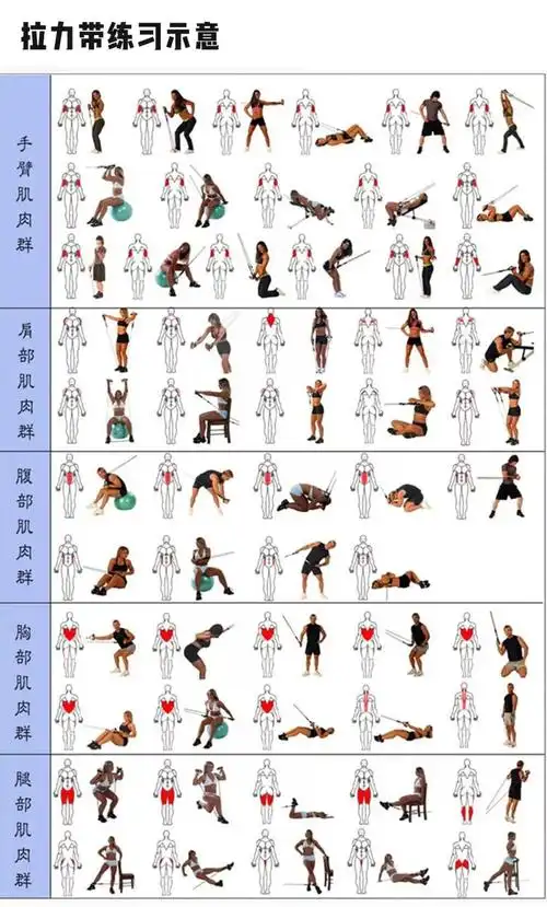 几个动作徒手热身两种热身方式一般热身大约10分钟内健身前必须先热身