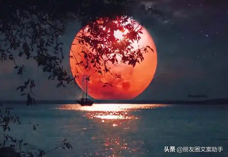 月亮配一句话朋友圈(月亮配一句话朋友圈伤感)