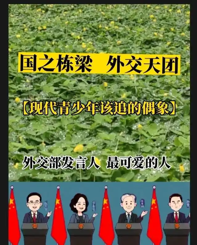 国之栋梁外交天团#祖国的骄傲#育儿 #抖音图文  - 抖音