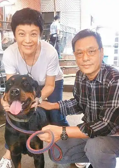 主持人朱桢晒婚纱照 二婚更幸福的名人有谁?