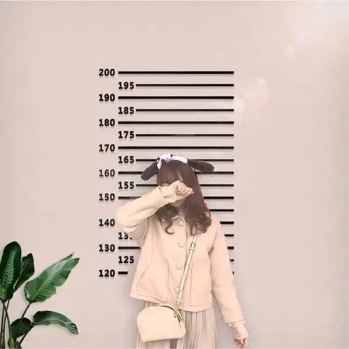 特价墙艺_爱墙艺 仿监狱身高3d立体亚克力墙贴个性简约有趣网红拍照