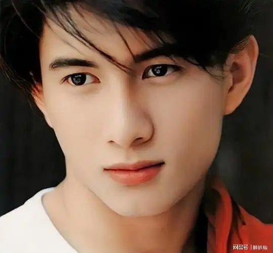 男星年轻时能有多帅除了沈腾沙溢他们的颜值让你一眼万年