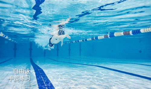 自由泳