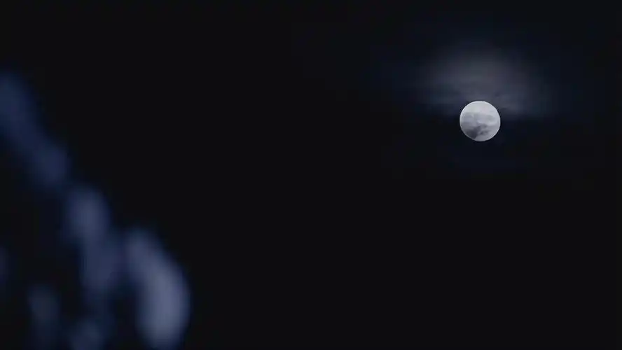 古风唯美文案,"盛夏初收,残香片片滞留"