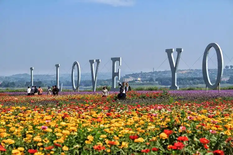 中国山西襄垣万亩花海起动仪式