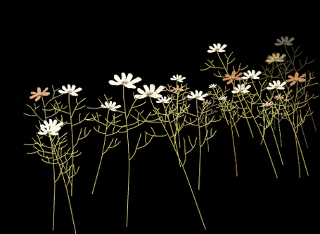 gif动态背景图(深色)