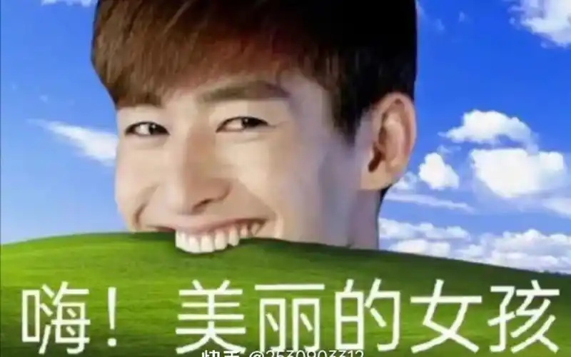 嗨!美丽的女孩*张翰表情包第一弹