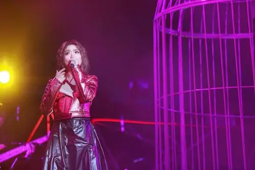 2020庄心妍惠州演唱会票价订票指南购票入口