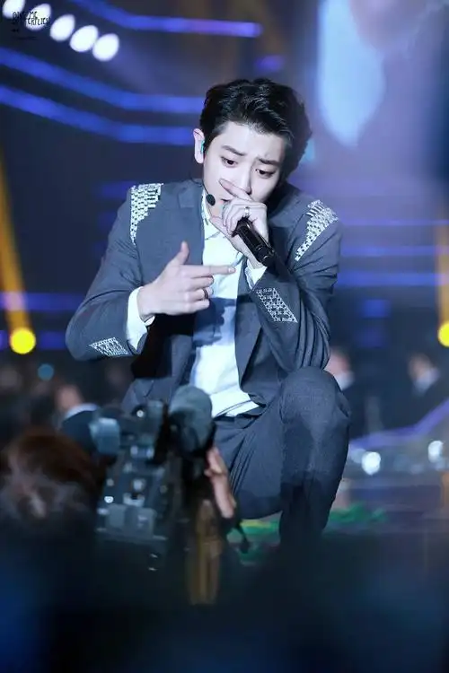 朴灿烈# 141109 乐天家族演唱会