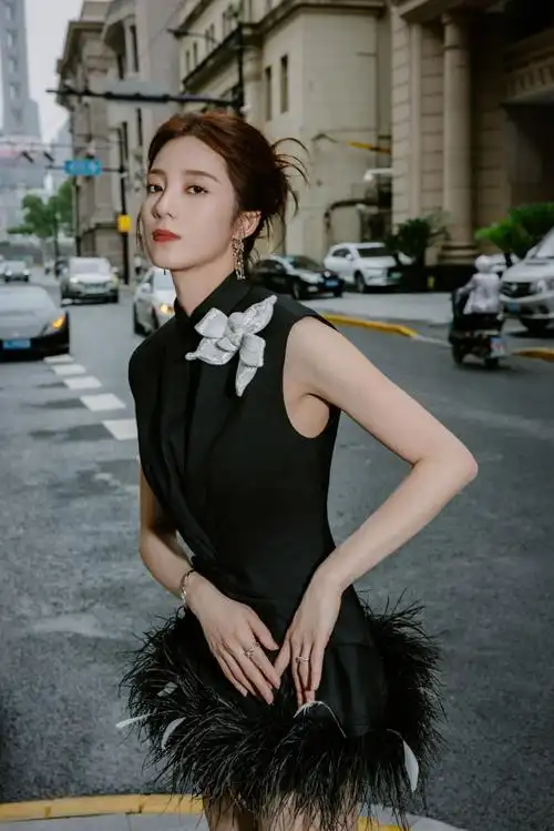 万鹏清冷黑天鹅