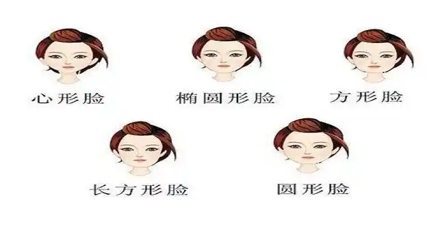 人的8种脸型
