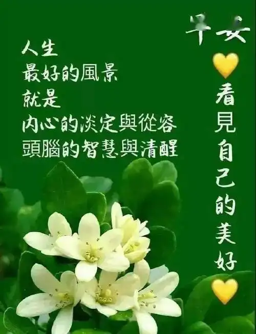 思念时时在,牵挂不曾停,条条微信牵,字字诉真情,最美的祝福送给最美的
