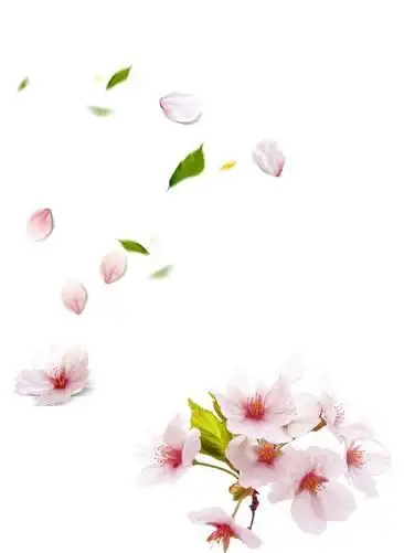 桃花飘落主图背景