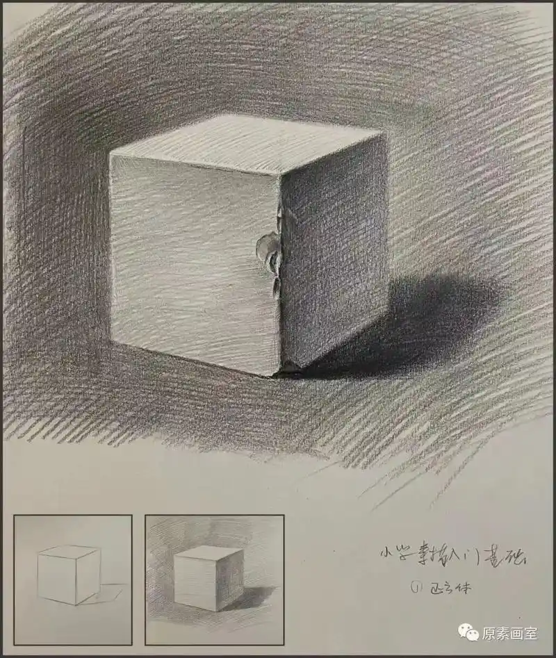 感冒期间做点公益…小学四五六年级的可以自学素描入门.