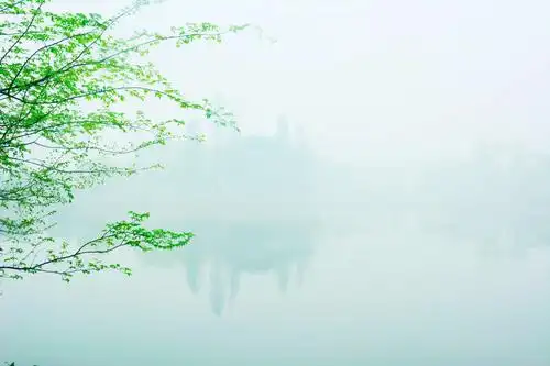 烟雨桃花湾 诗意庙门前