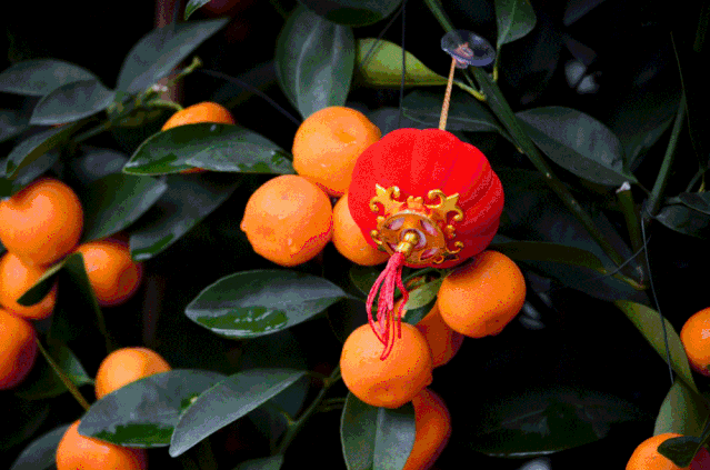 639_423gif 动态图 动图