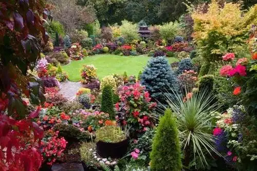 18个创意庭院"花园设计",网友:院子搞成这样,怕是要成景点哦