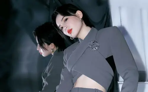 美女明星李斯丹妮图片桌面壁纸