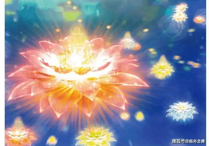 极乐世界的宝莲佛光一个极其微妙极其美丽极其庄严极其清净之地