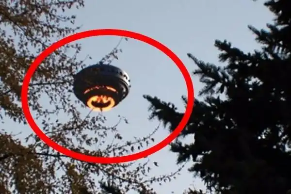 山东滨州外星人事件虚假新闻自导自演