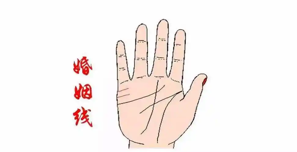 从掌中婚姻线纹的数量看结婚早晚