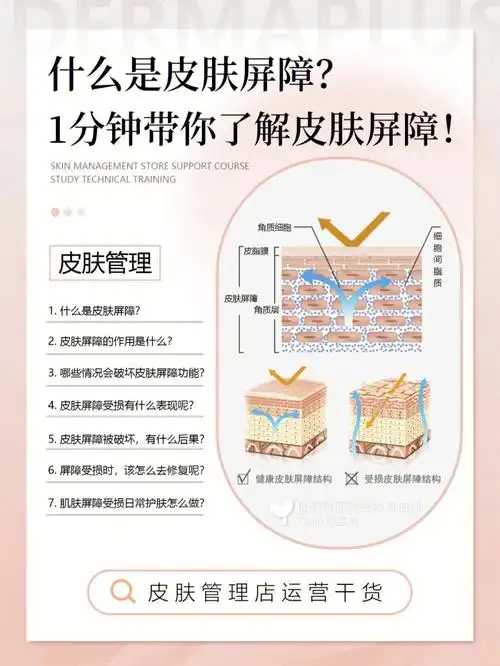 皮肤管理166分钟带你了解皮肤屏障78