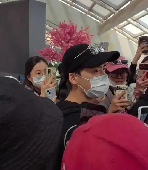 李易峰日本度假回国自己推行李无助理随行众粉丝接机帅气依旧