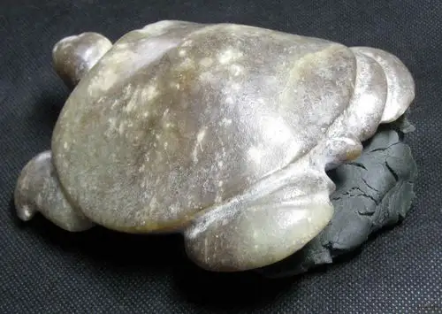 玉龟- 红山文化 论坛 - 任南红山文化官网 - powered by discuz!