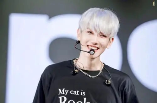 边伯贤银发/终于来一波银发合集 - 堆糖,美图壁纸兴趣社区