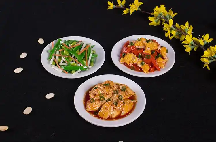 仿真食物中餐菜品模型食品仿真假菜影视拍戏样品摆设舞台表演道具明