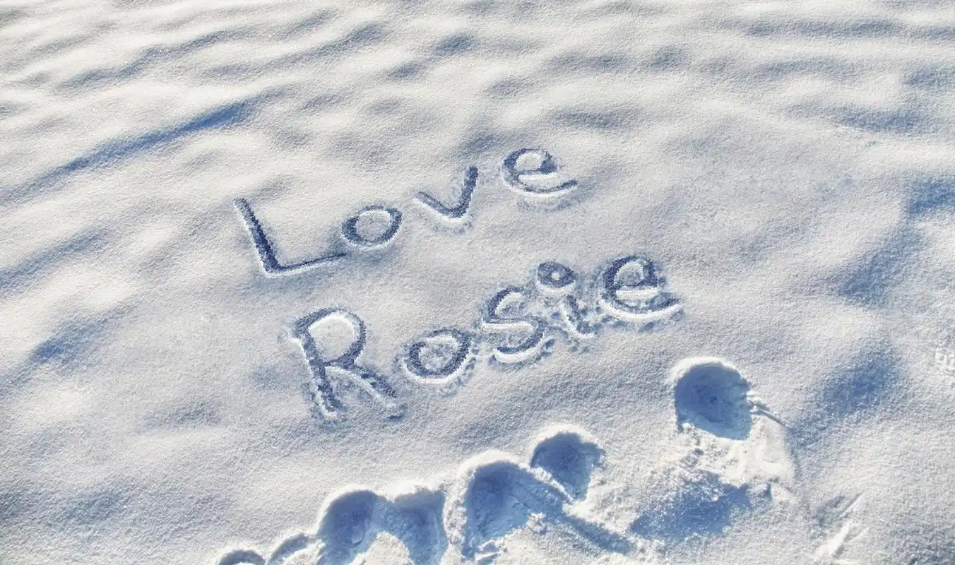 雪地里也爱朴彩英