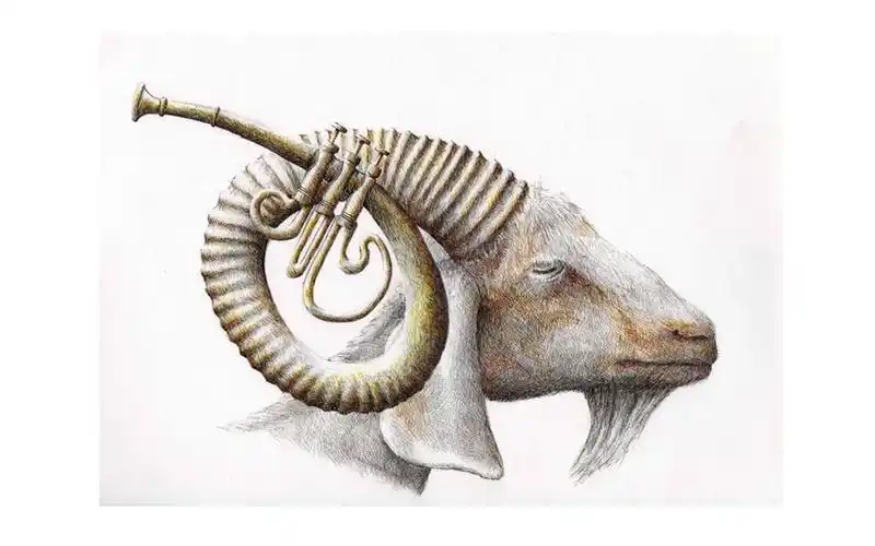 200种创意素描素材分析 动物类