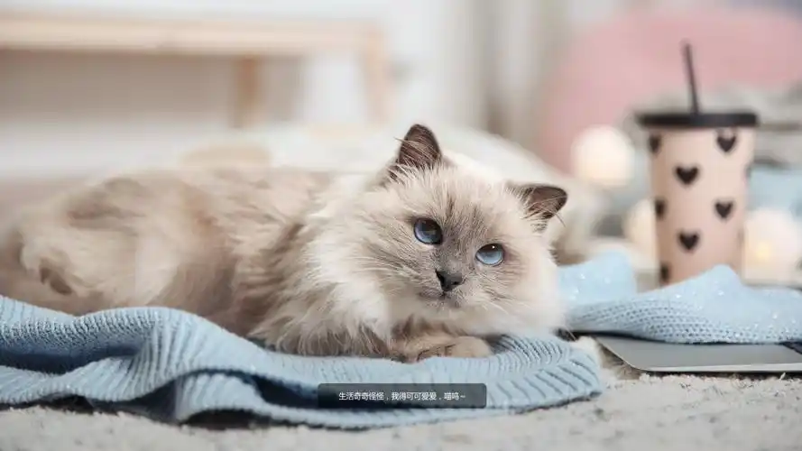 夸爆联想的随机锁屏壁纸_小新笔记本-联想社区