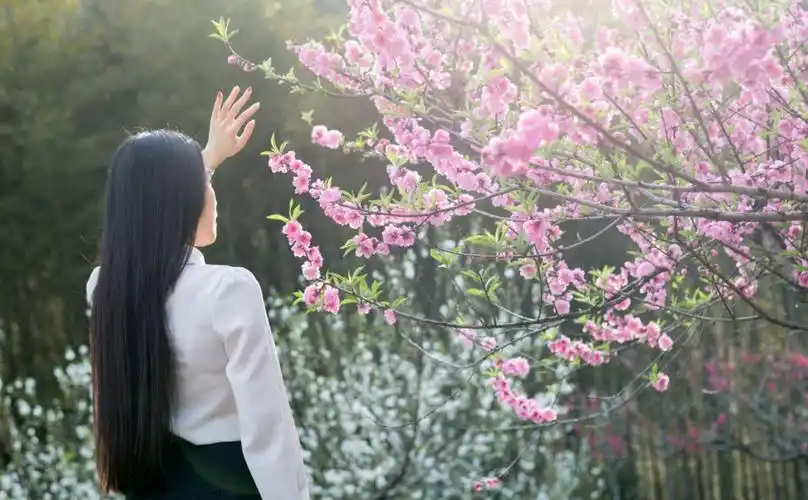 桃花树下的下的女孩