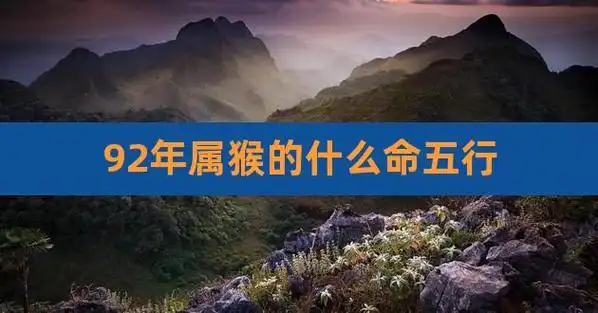 92年属猴五行属于什么命,1992年属猴是金命吗