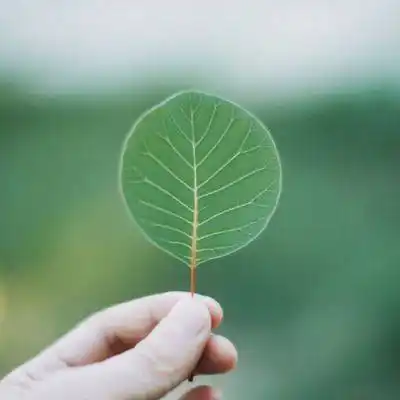 微信头像意境唯美风景图片大全