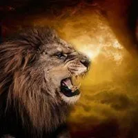 霸气怒吼的头像 很霸气的怒吼头像_微信头像图片大全