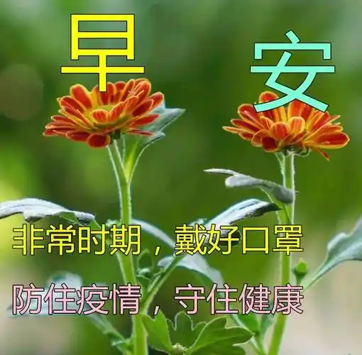原创8张最新最全早上好问候语温馨动态图片大全春天早上好问候祝福语