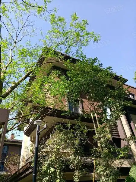 龙湖源著(二期别墅),两河西三路,近两河二街-成都龙湖源著(二期别墅)