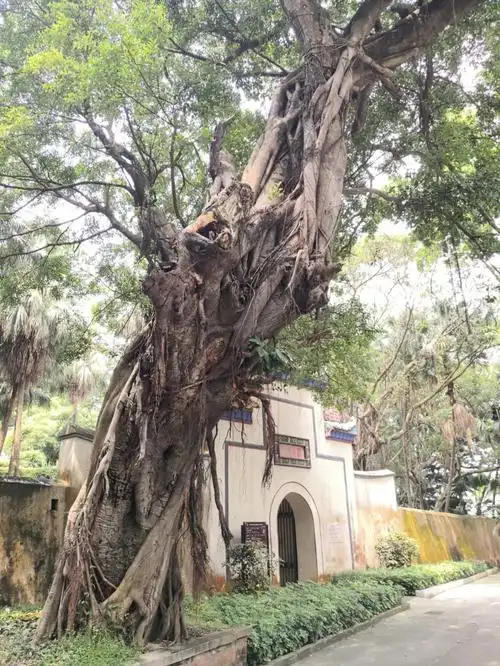 行走印记沙角炮台